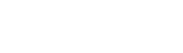 AirLnk